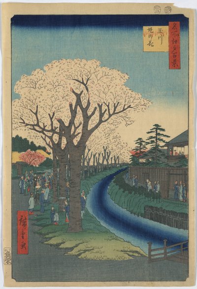 Utagawa Hiroshige Fleurs de cerisier, Cent vues d'Edo (1856)